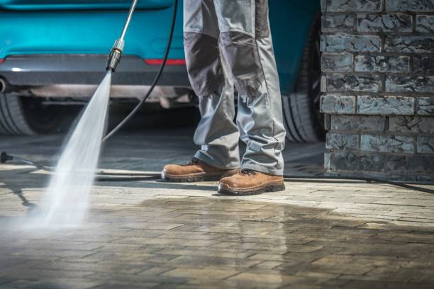 Best Winterizing Services  in Woodville, FL