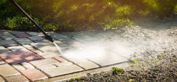 Best Fleet Vehicle Washing  in Woodville, FL