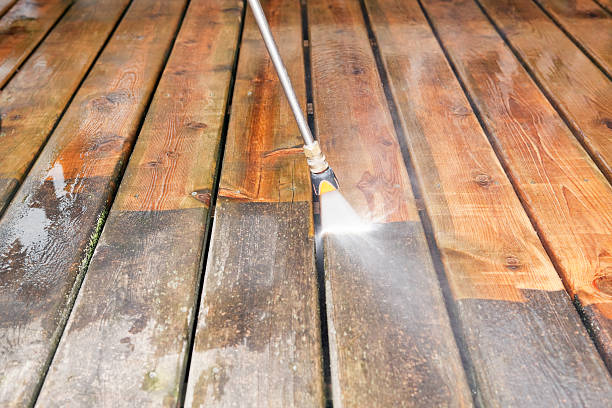 Best Driveway Pressure Washing  in Woodville, FL